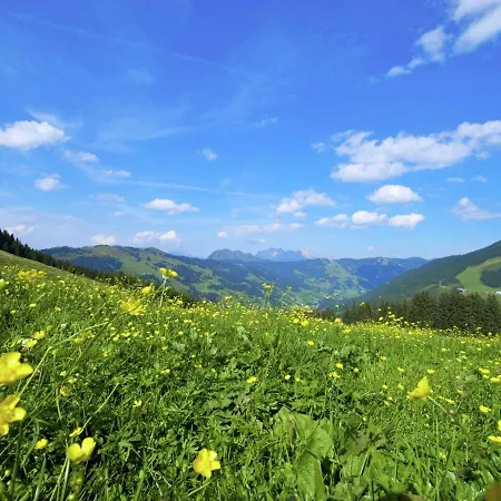 Luxurious In Saalbach Hinterglemm Near Ski Area فيهوفن